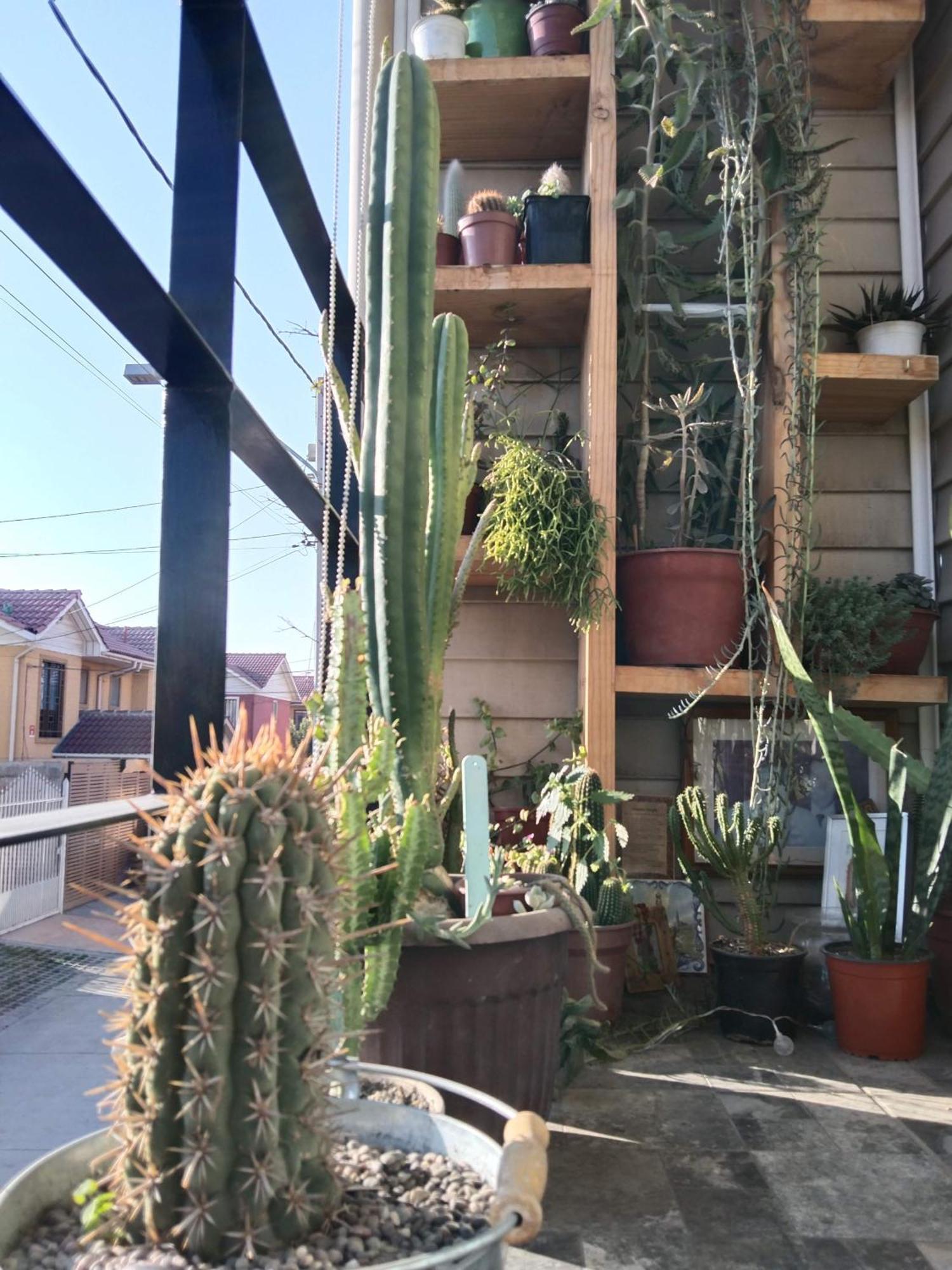 Hostel Tu Espacio Re - Habitaciones Cerca Del Aeropuerto サンティアゴ エクステリア 写真